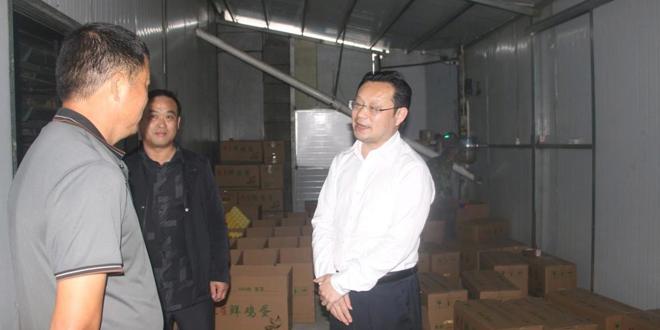 常德市领导赴鼎城区匡家桥村调研乡村振兴工作